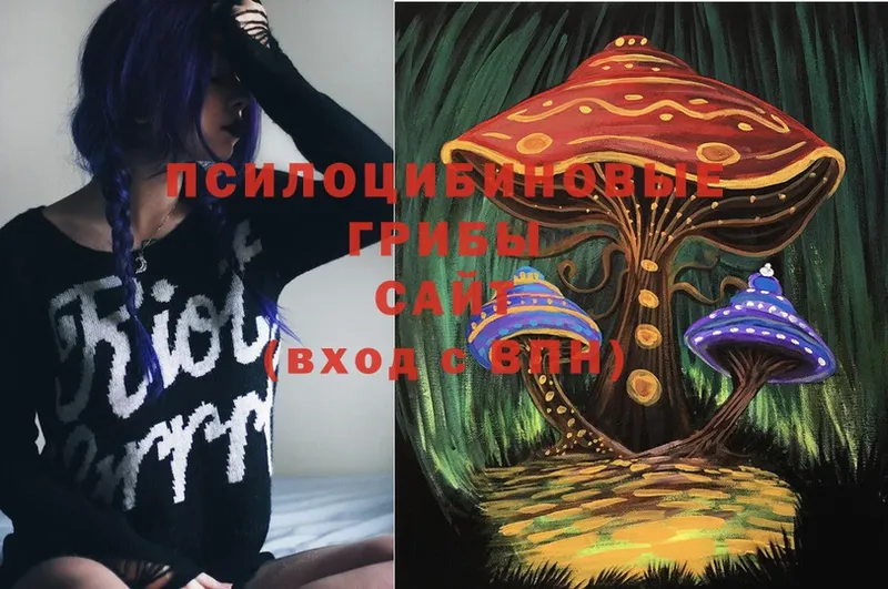 Галлюциногенные грибы Cubensis  hydra tor  Котовск 